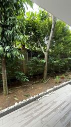 Cabana (D28), Terrace #599925491